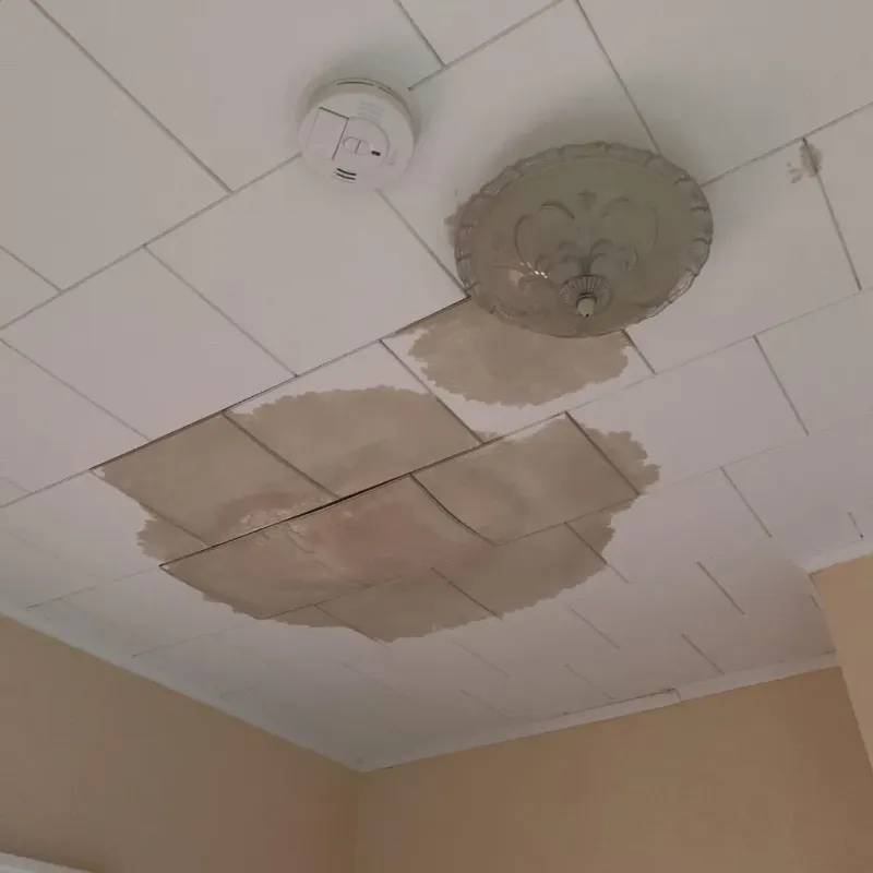 Ceiling Water Damage Repair in Coryell County, TX