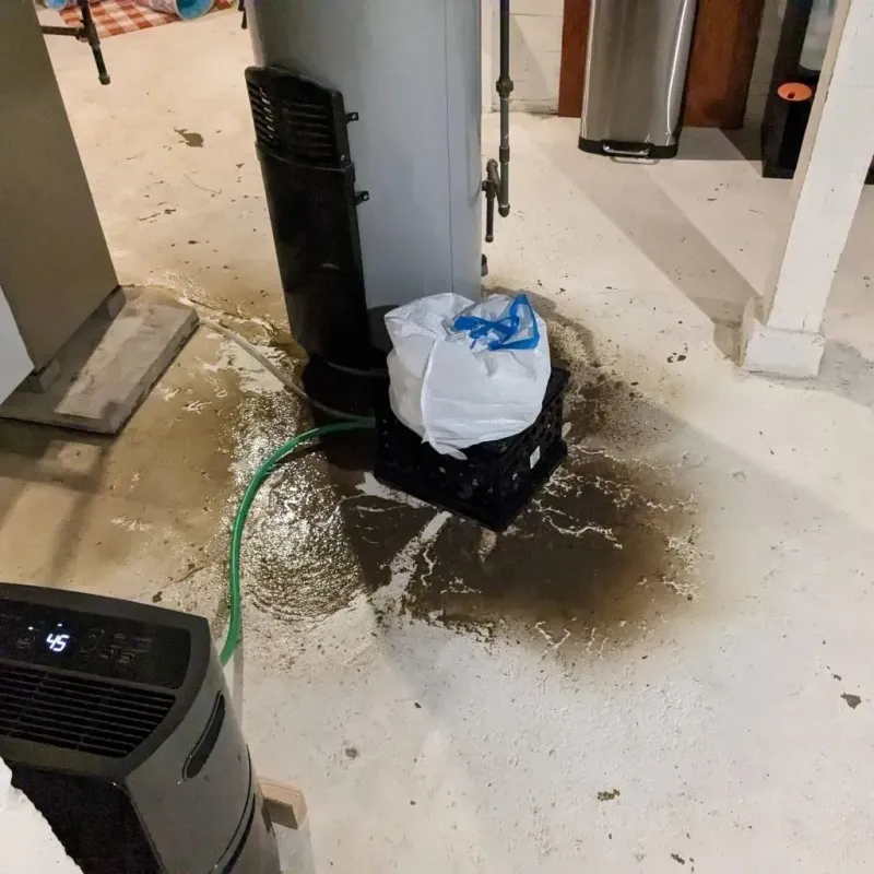 Sewage Backup Cleanup Service in Coryell County, TX